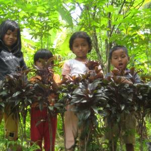 Some children who benefited from a recent feeding program