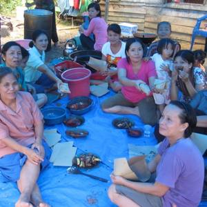 A feeding program after a recent earthquake