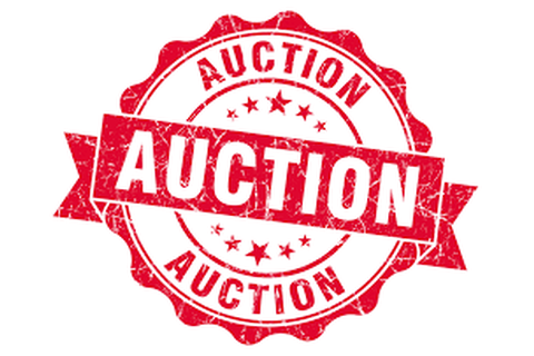 JFM Missions Auction 2016