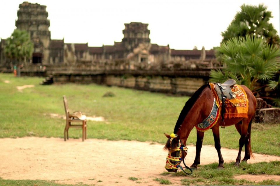Cambodia 2012