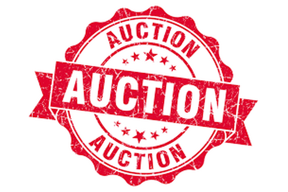 JFM Missions Auction 2016